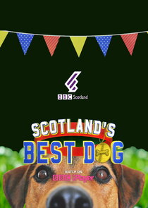 Scotland's Best Dog
