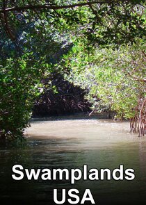 Swamplands USA