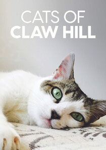 Cats of Claw Hill