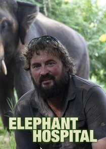 Elephant Hospital — кадр