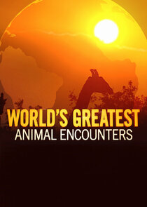 World's Greatest Animal Encounters