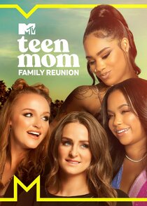 Watch Series - Teen Mom Family Reunion
