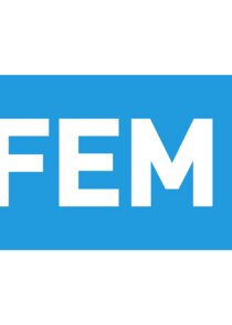 FEM