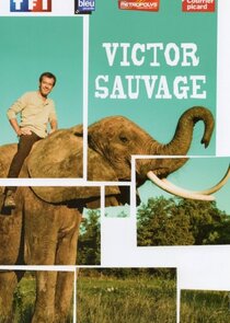 Victor Sauvage