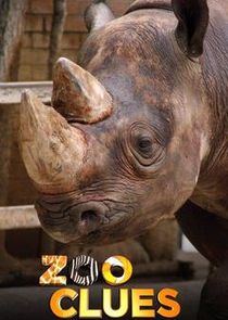Zoo Clues — кадр