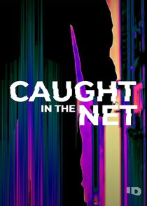 Caught in the Net small logo