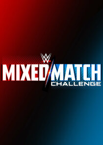 WWE Mixed-Match Challenge