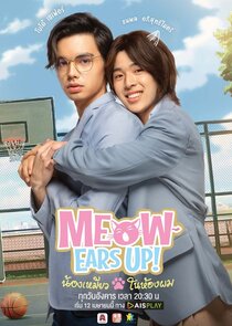 Meow Ears Up — кадр