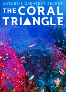 Coral Triangle