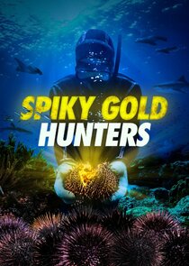 Spiky Gold Hunters