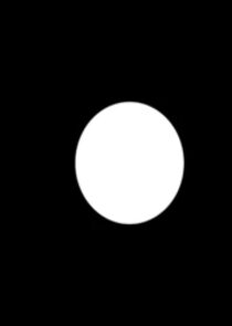 White Dot