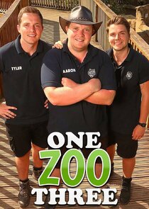 One Zoo Three — кадр
