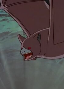 Bat Creature