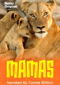 Mamas — кадр