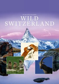 Wild Switzerland