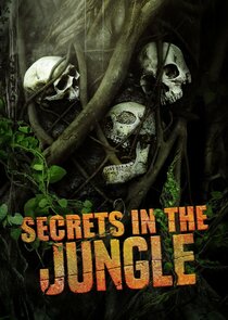 Secrets in the Jungle small logo