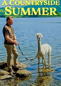 A Countryside Summer — кадр