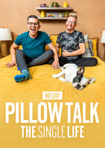 90 Day Pillow Talk: The Single Life small logo