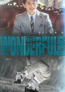 Wonderful Hand — кадр