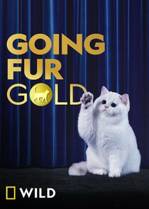 Going Fur Gold small logo