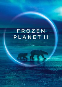 Frozen Planet II poszter