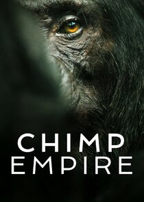 Chimp Empire poszter