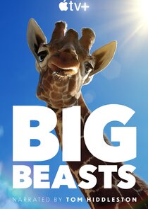 Big Beasts poszter