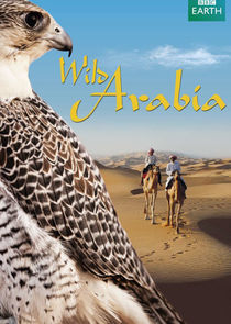 Wild Arabia