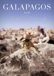 Galapagos with David Attenborough