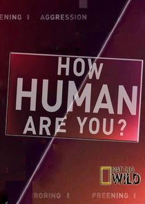 How Human Are You? — кадр