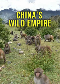 China's Wild Empire