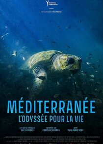 Méditerranée, l'odyssée pour la vie