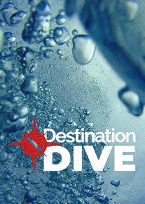 Destination Dive small logo