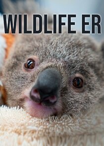 Wildlife ER — кадр