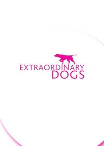 Extraordinary Dogs — кадр