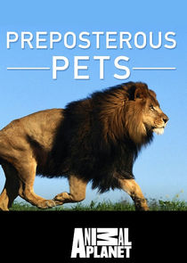 Preposterous Pets