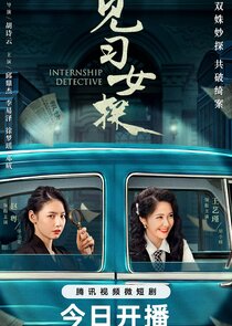Internship Detective — кадр