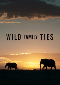 Wild Family Ties