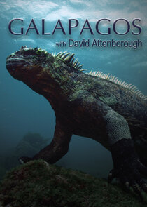 Galapagos with David Attenborough poszter