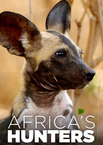 Africa's Hunters poszter