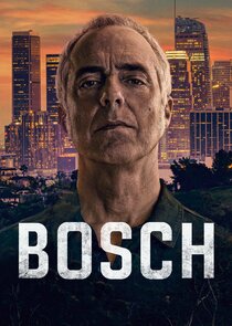 Bosch poszter