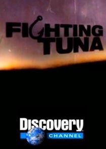 Fighting Tuna