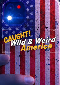 Wild & Weird America small logo