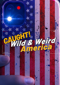 Wild & Weird America cover