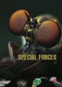 Animal Special Forces