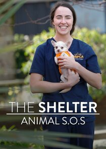 The Shelter: Animal SOS