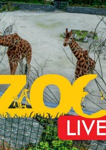 Zoo Live