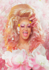 Pink Chadora