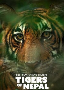 The Tracker's Diary: Tigers of Nepal | TVmaze