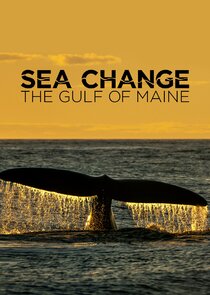 Sea Change: The Gulf of Maine, a NOVA Special Presentation small logo